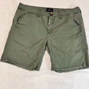 American Eagle Outfitters Green Flat Front Shorts